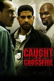 Caught in the Crossfire 2010 – Tội ác