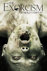 Quỷ Ám 2 (Thuyết minh) – The Exorcism of Molly Hartley