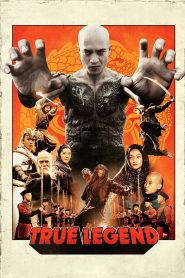 Mãnh hổ Tô Khát Nhi (Vietsub) – True Legend – 2010