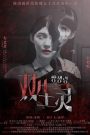 Hồn Ma Song Sinh (Thuyết minh) – Twin Spirit