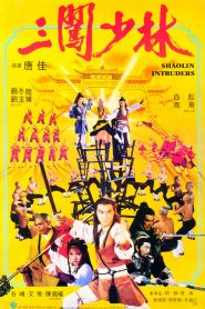 Quyết chiến Thiếu Lâm Tự (Vietsub) – Shaolin Intruders