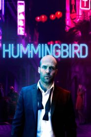 Chim Ruồi – Hummingbird