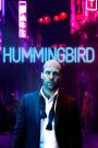 Chim Ruồi – Hummingbird