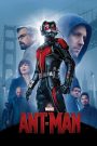Người Kiến (Vietsub) – Ant Man
