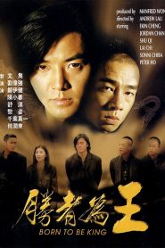 Thiếu niên Hạo Nam – Born to Be King