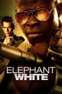 Elephant White – Voi Trắng (2011)
