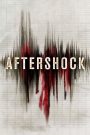 Dư Chấn – Aftershock 2010