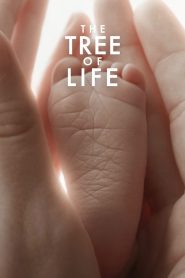 Cây đời (Vietsub) – The Tree of Life
