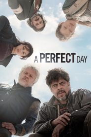 Ngày Hoàn Hảo (Thuyết minh) – A perfect day
