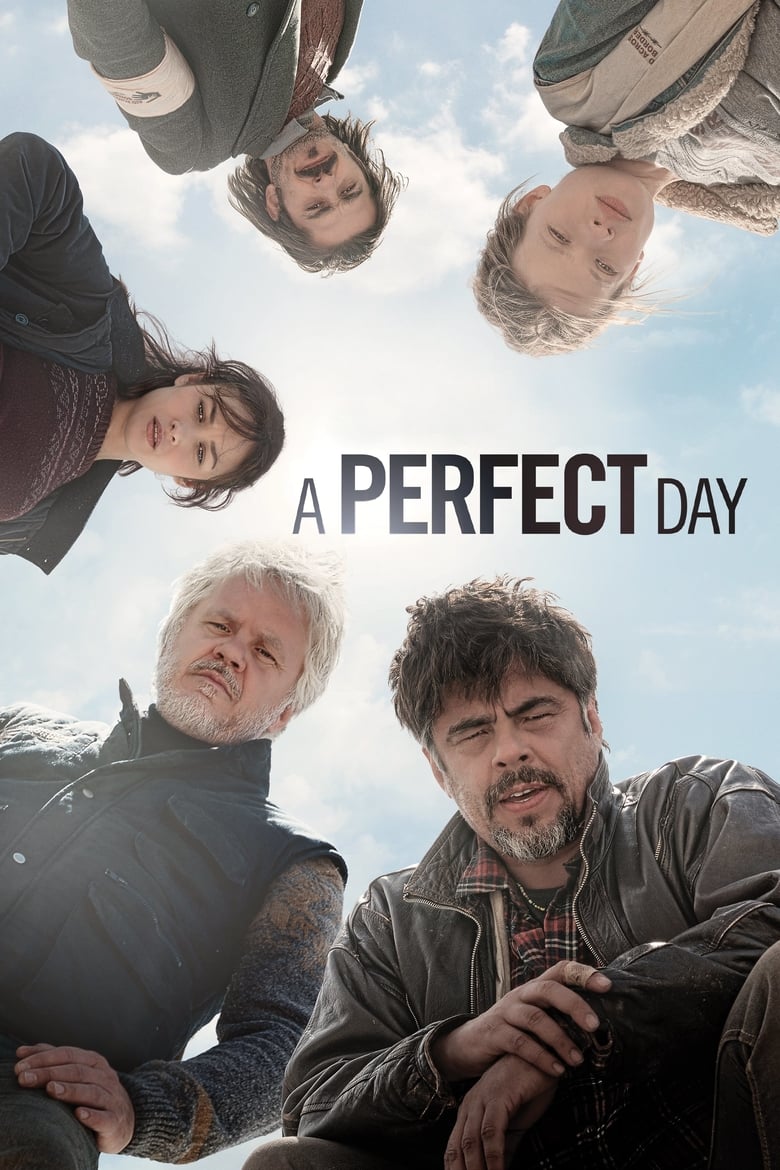 Ngày Hoàn Hảo (Thuyết minh) – A perfect day