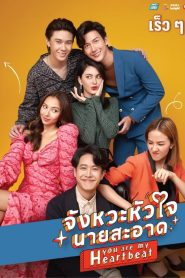 Mùa Hè Của Hồ Ly (Bản Thái) – You Are My Heartbeat