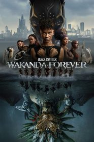 Chiến Binh Báo Đen: Wakanda Bất Diệt – Black Panther: Wakanda Forever