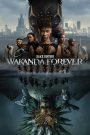 Chiến Binh Báo Đen: Wakanda Bất Diệt – Black Panther: Wakanda Forever