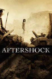 Đường Sơn Đại Địa Chấn – Aftershock 2010