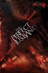 Người Chồng Tuyệt Vời (Thuyết minh) – The Perfect Husband