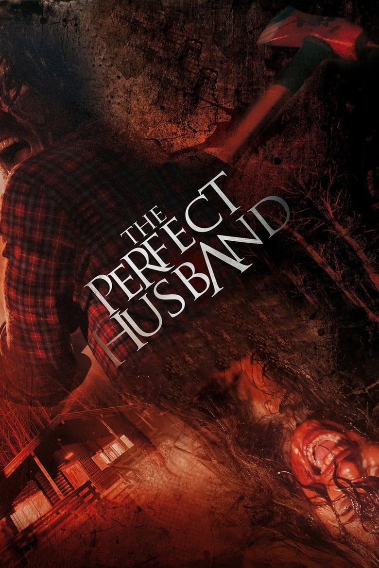 Người Chồng Tuyệt Vời (Thuyết minh) – The Perfect Husband