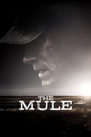 Trùm Ma Túy – The Mule